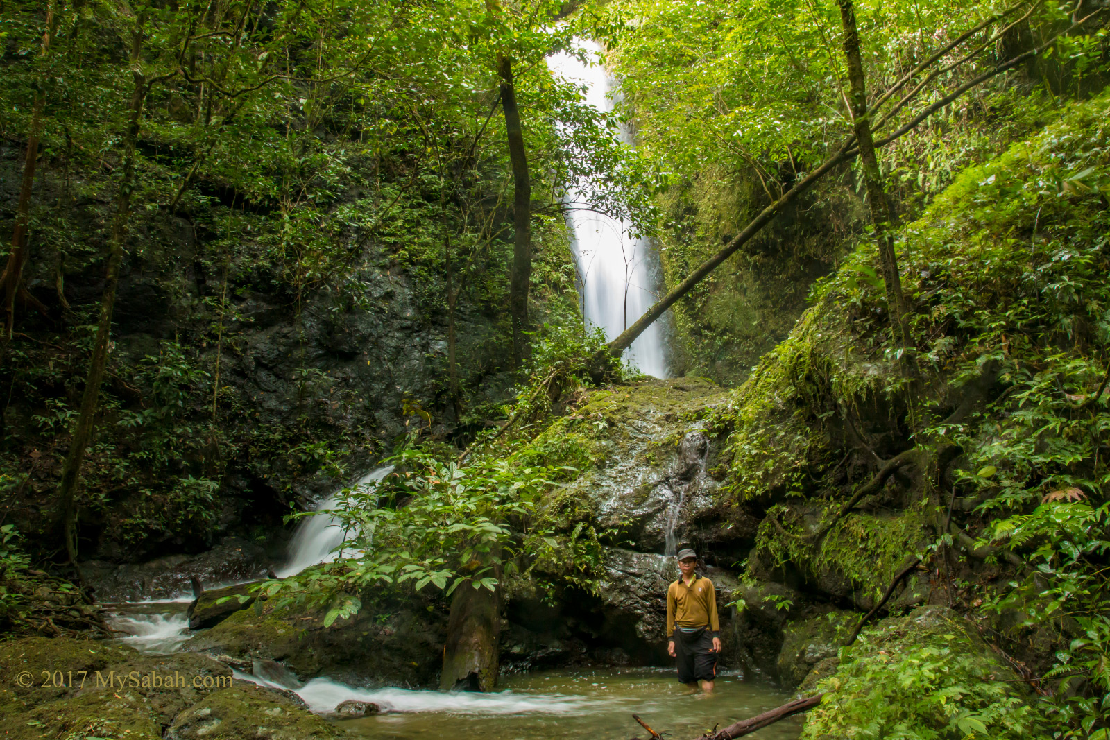 Serinsim, a different face of Kinabalu Park