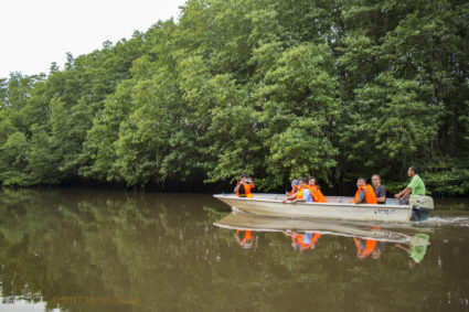 river cruise in mangrove