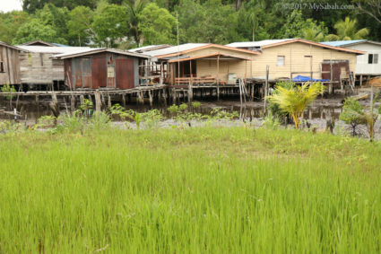stilt houses in Kampung Sambah village