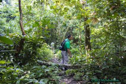 Jungle trekking to the Ali Baba Waterfall