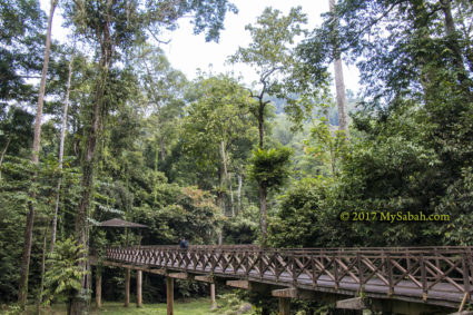 Long boardwalk to Kawag Danum Rainforest Lodge (KDRL)
