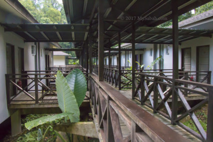 The rooms of Kawag Danum Rainforest Lodge