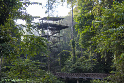 The 50-feet observatory tower in Kawag Danum Rainforest Lodge