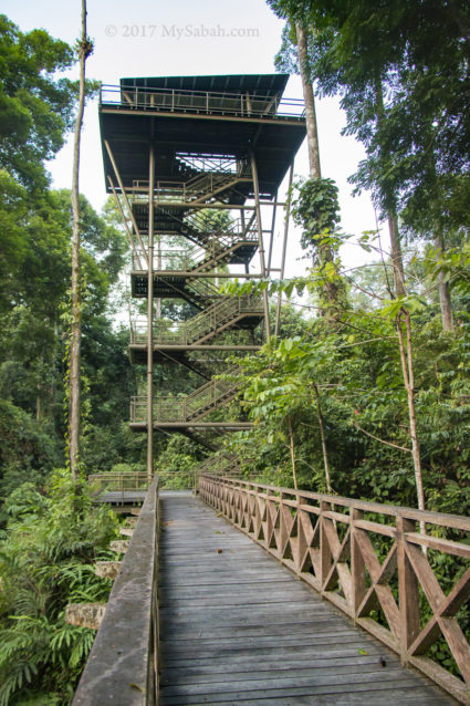 observatory tower for bird watching