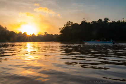 Sunset river cruise at Kinabatangan River