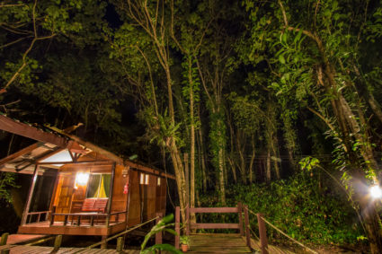 Nature Lodge Kinabatangan is in the forest of Kinabatangan