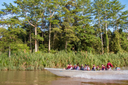 River cruise is the best way for wildlife sighting at Kinabatangan