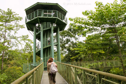 Canopy walkway of Rainforest Discovery Centre