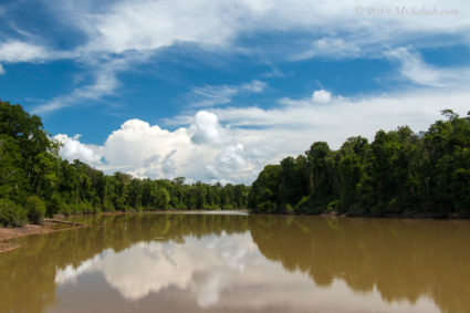 Kinabatangan River