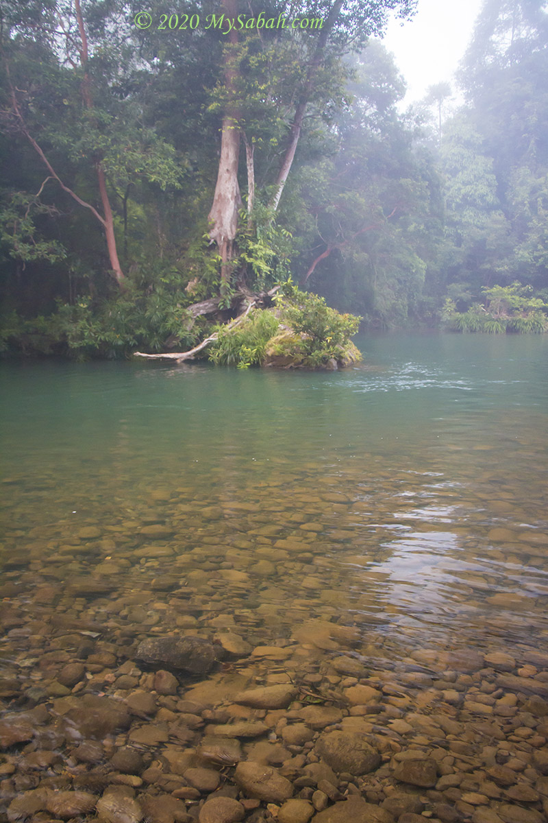 Morning view of Deramakot forest and Kun-Kun River