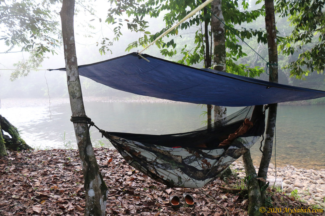 Sleeping in hanging hammock