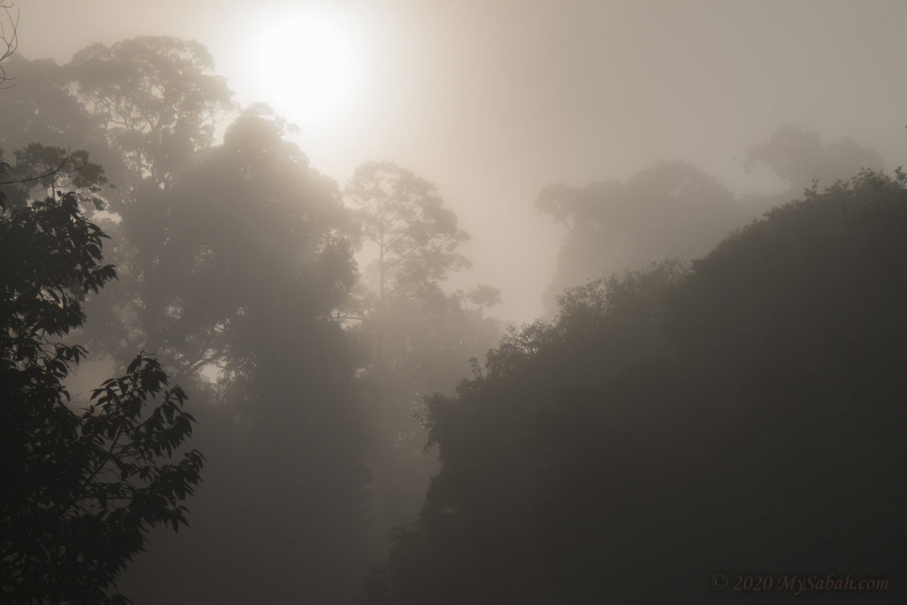 Misty morning of Kun-Kun River