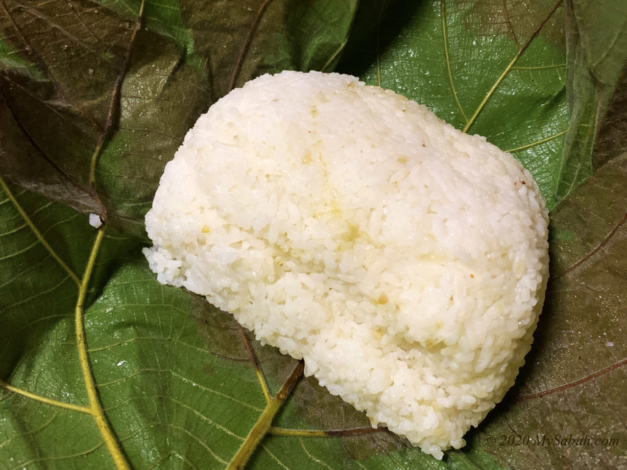 Wrapped rice from Tegudon paddy field