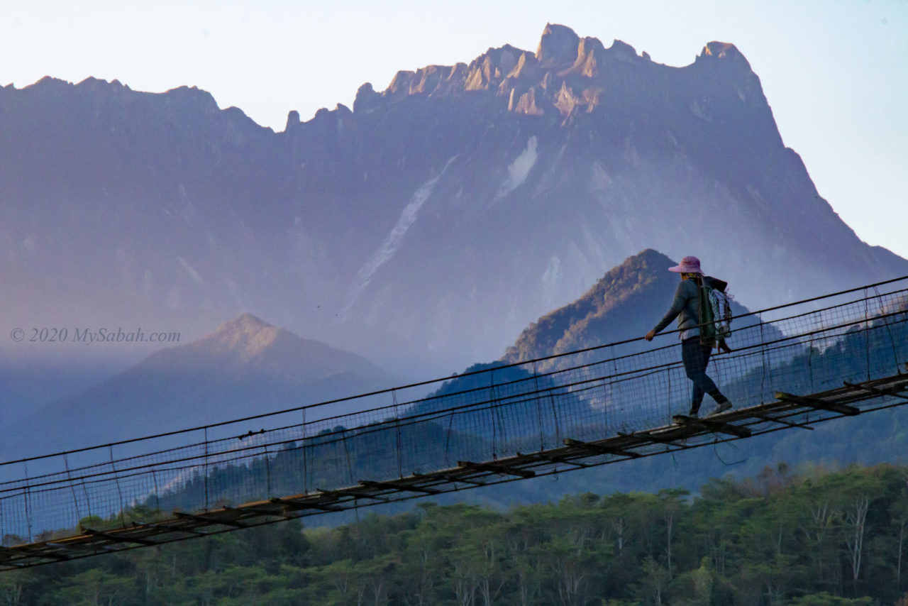 Farmer crossing bridge to paddy field in the morning