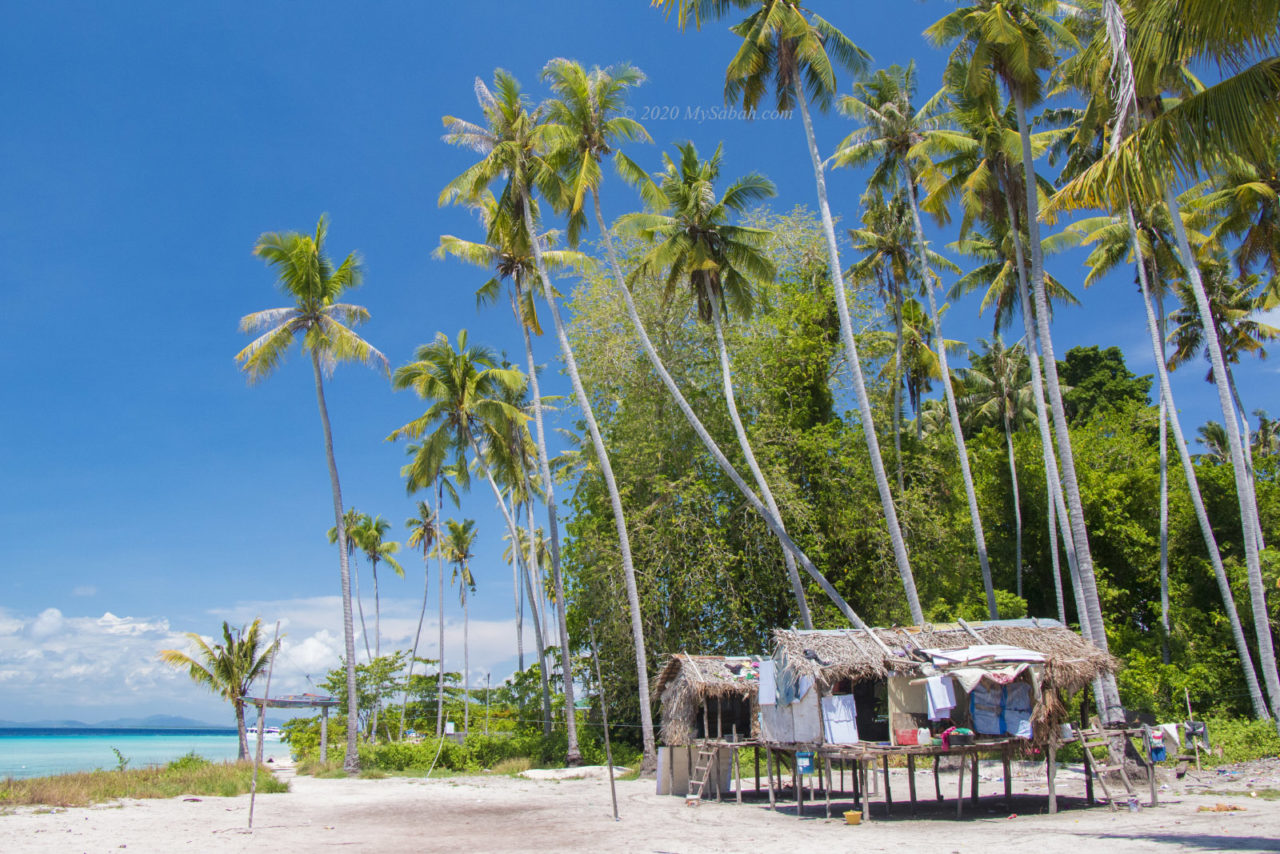 Huts under coconut trees in Sibuan