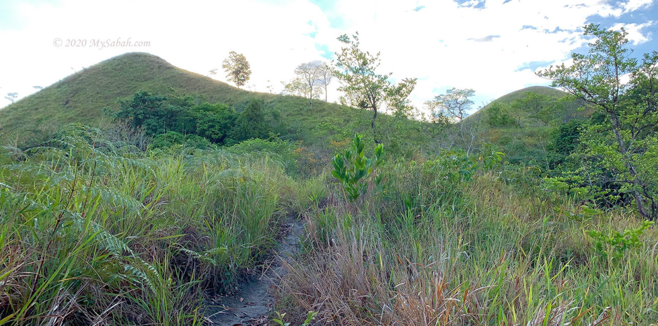 Twin peaks of Bukit Bongol