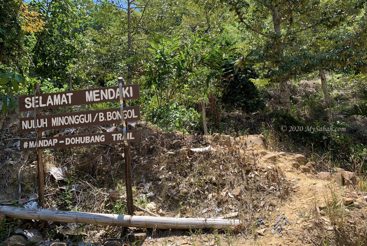 Starting point to climb Bukit Bongol hill