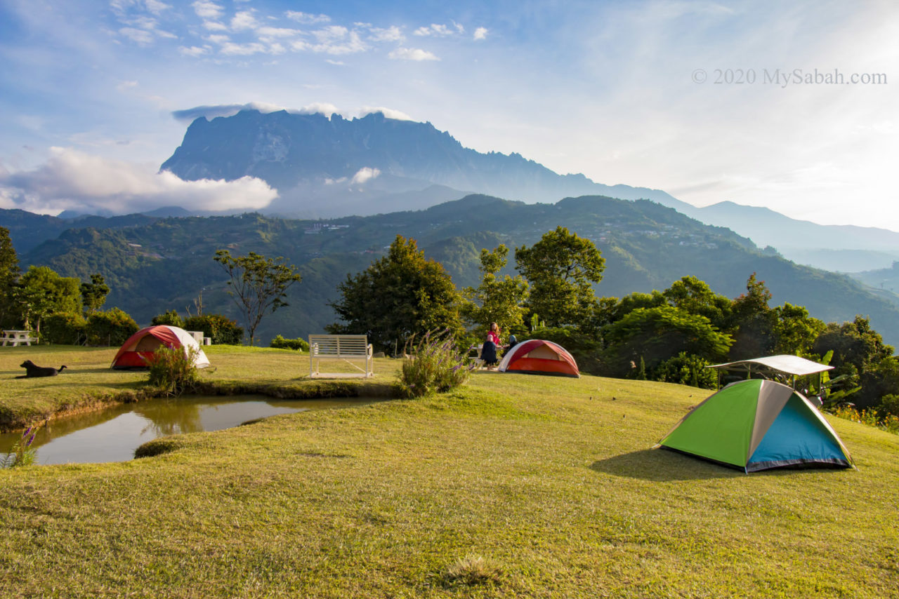 Camping at Hounon Ridge with Mount Kinabalu view