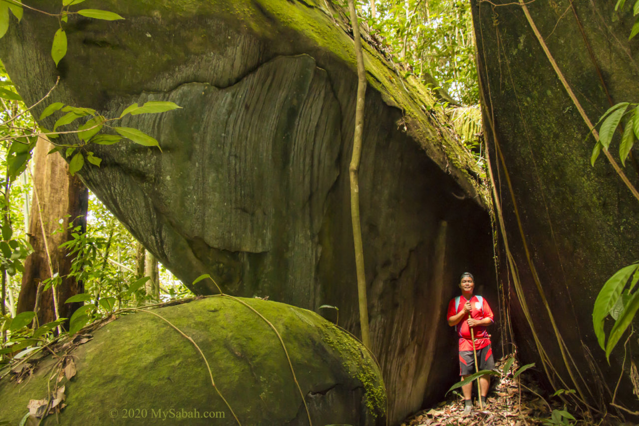 Huge boulder that looks like blue whale