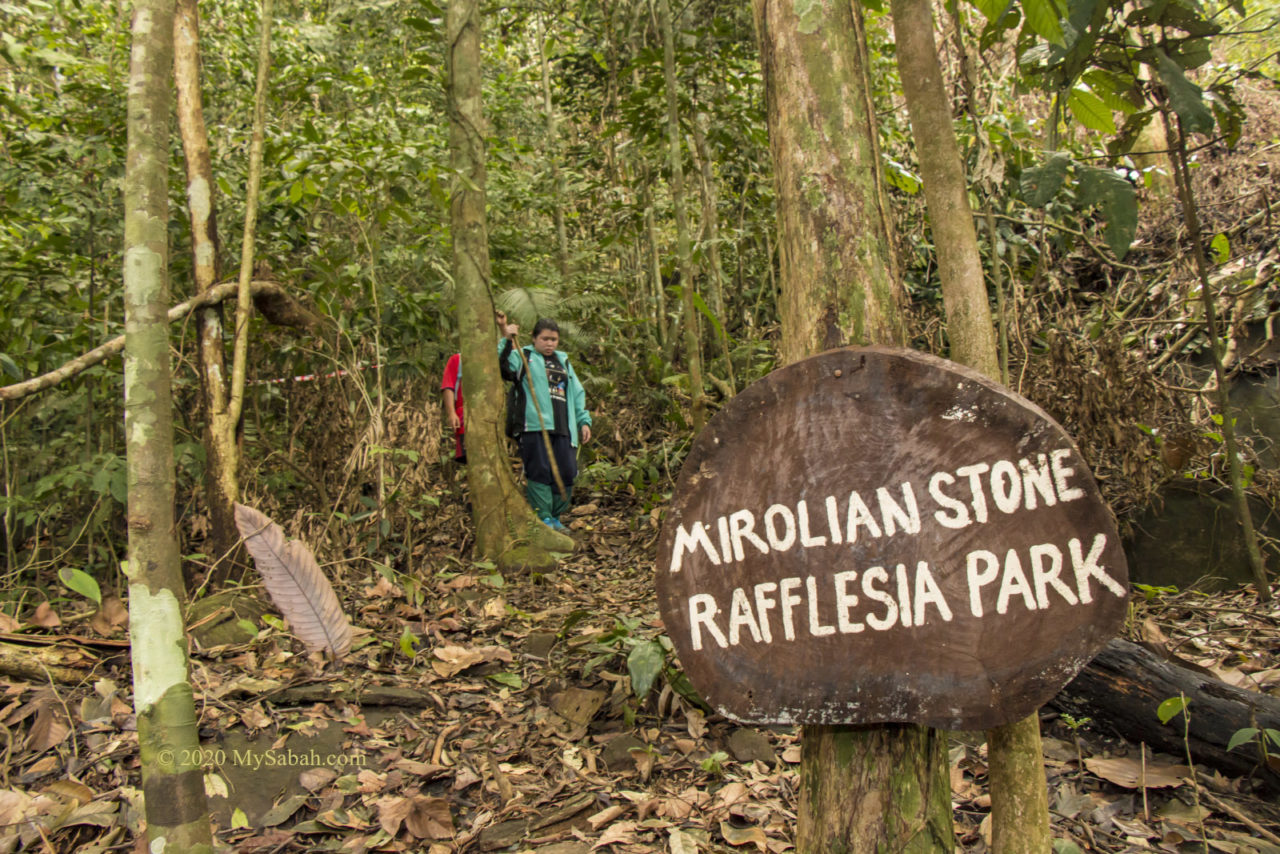 Mirolian Stone and Rafflesia Park