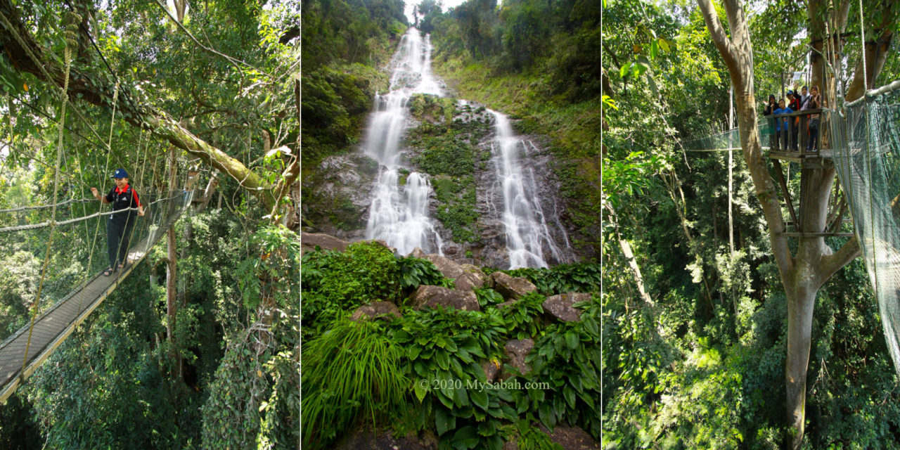 Canopy Walk and Langanan Waterfall in Poring