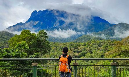 Kinabalu Park
