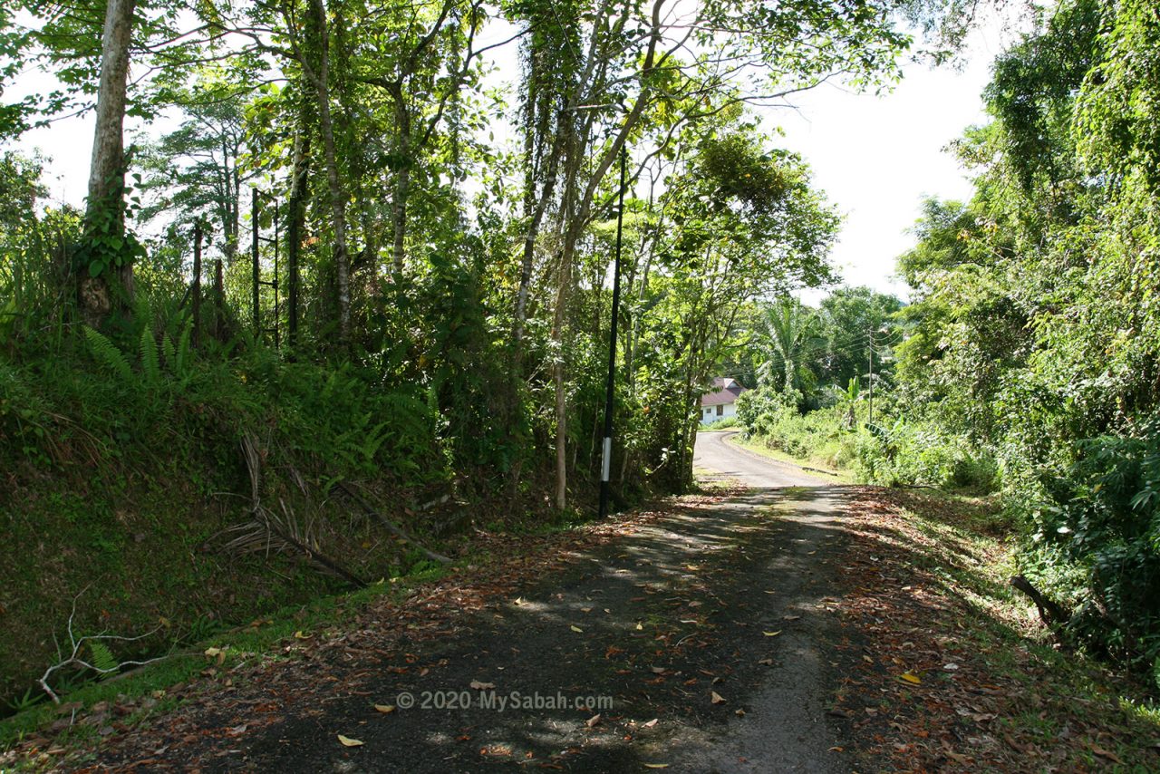 The slope where Japanese setup machine gun posts