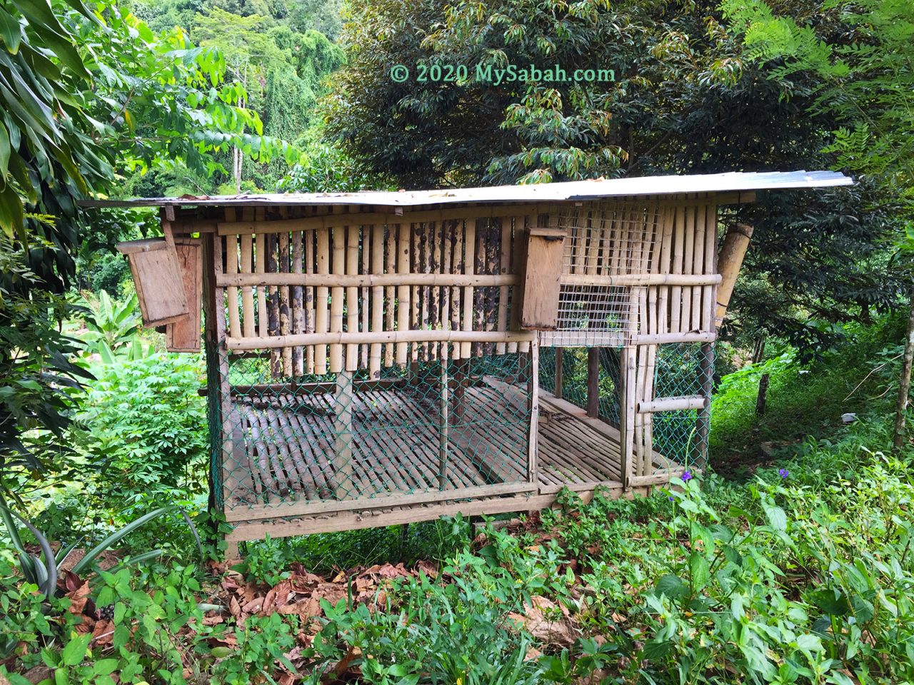 Box type stingless bee houses