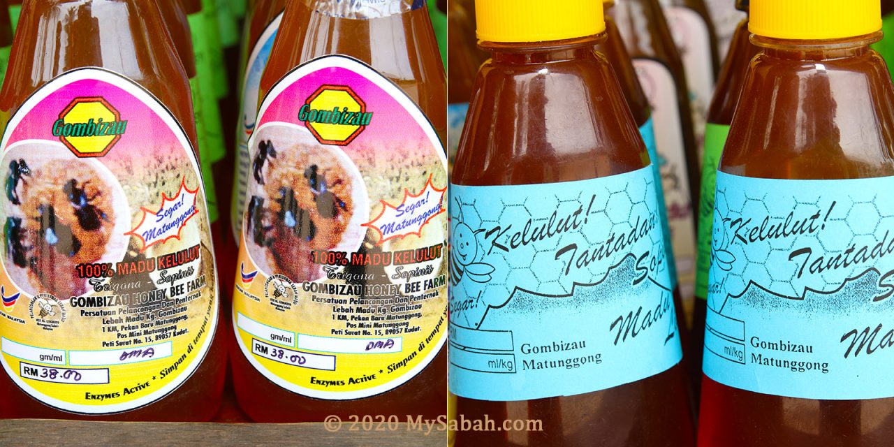 Stingless bee (kelulut) honey for sale