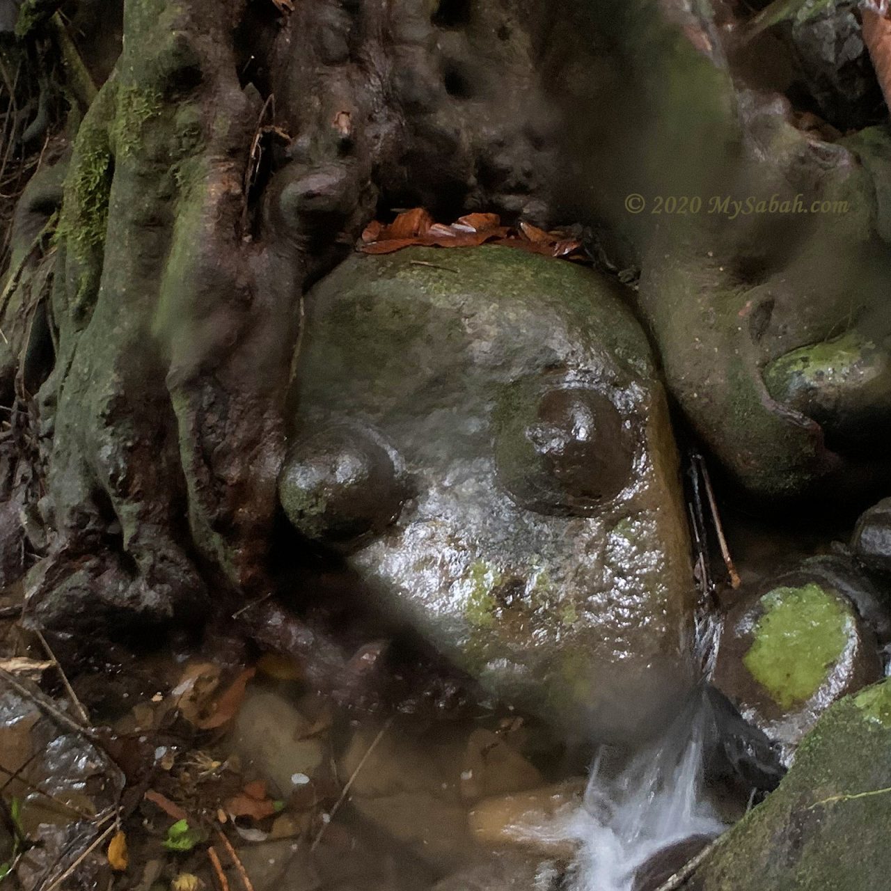 Boobs Rock (Batu Nenen)