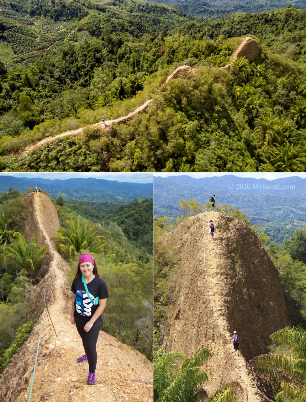 Bukit Lugas between Tambunan and Keningau (Apin-Apin)