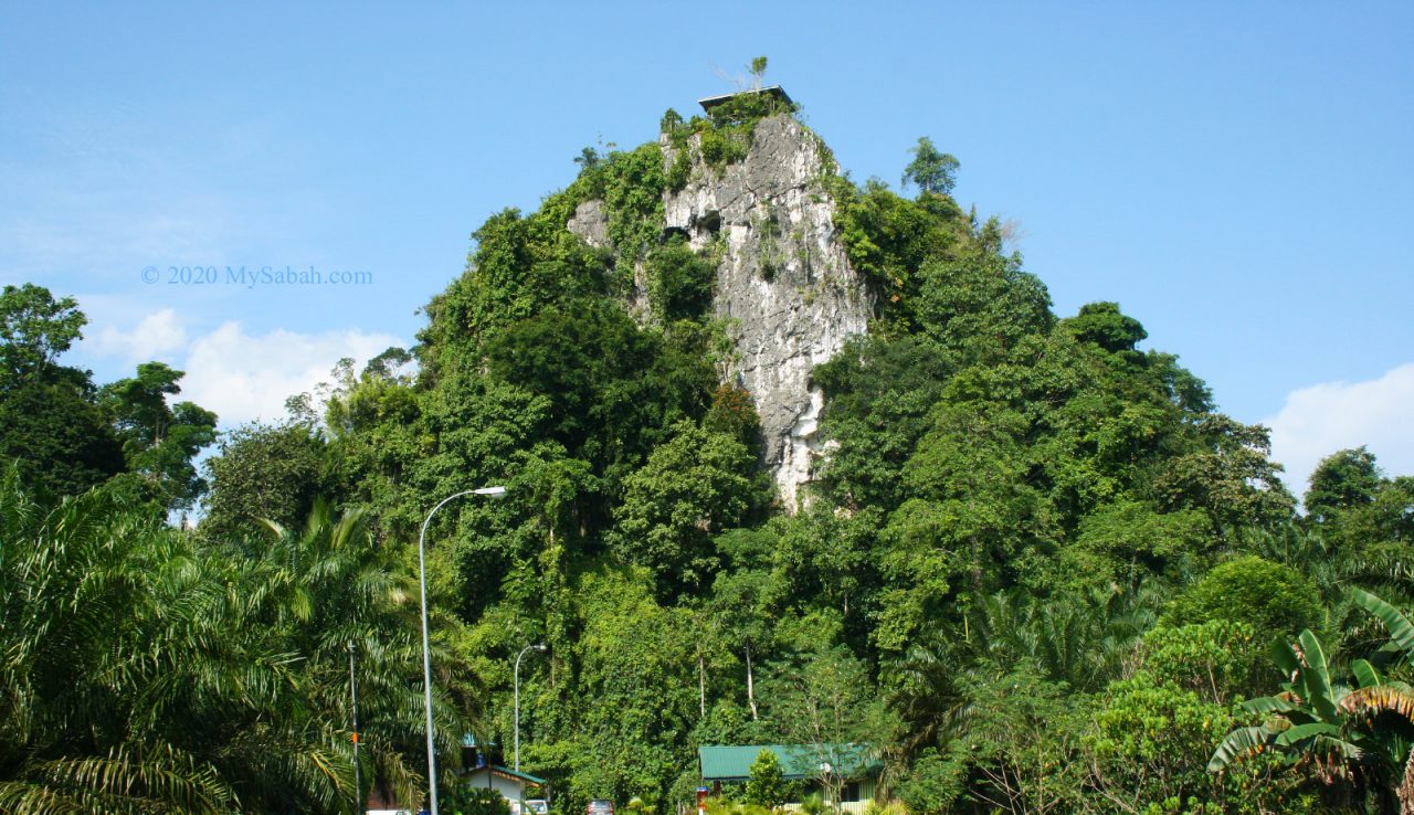 Batu Tulug Hill in Kinabatangan