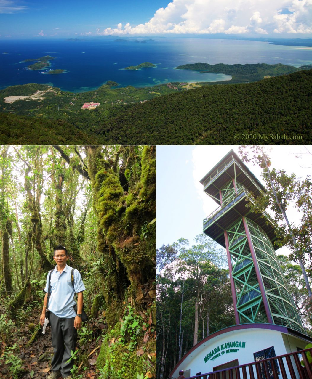 The view of Darvel Bay, mossy forest and Tower of Heaven on Mount Silam