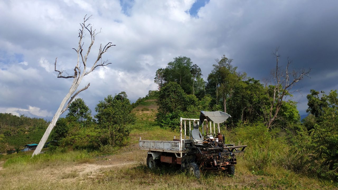 The dead tree and lorry at Sugud Stargazing Site