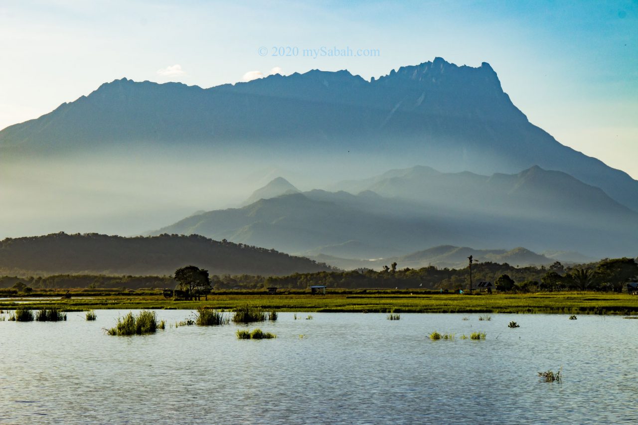 Wetlands of Tempasuk Plains