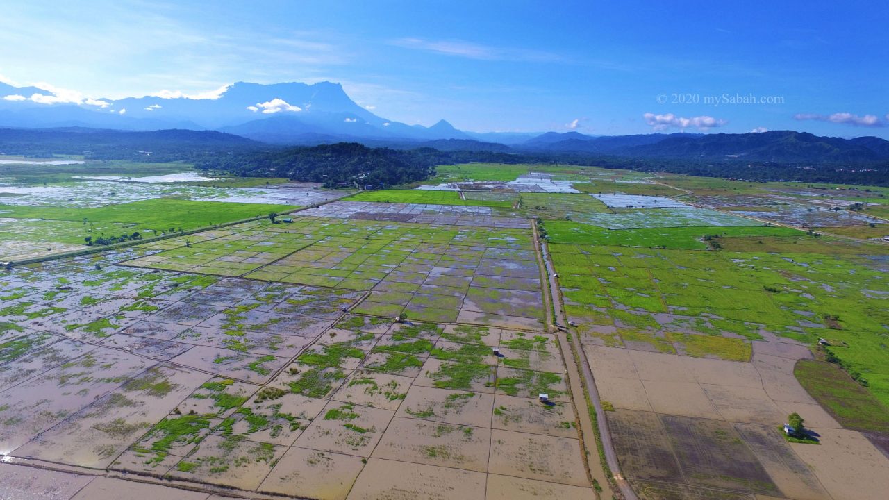 Wetlands of Tempasuk Plains