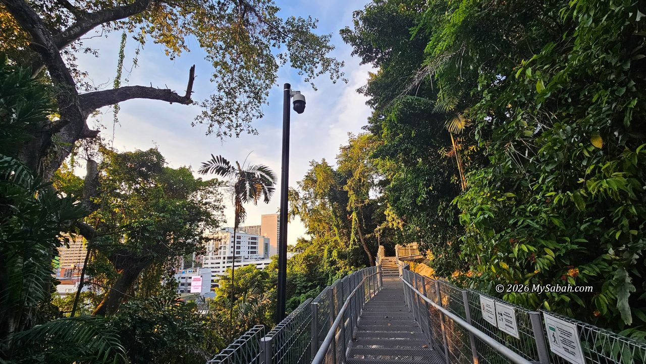 The 500-metre steel walkway of Signal Hill Trail.