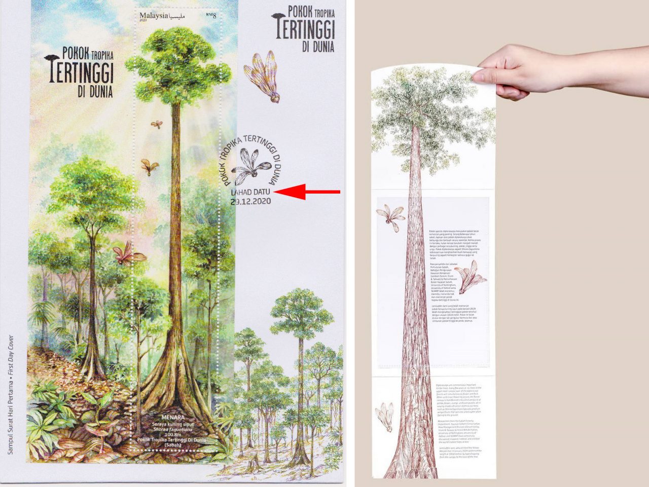 Left: miniature sheet of Menara is the largest stamp of Malaysia. Right: the long stamp folder for the World's tallest tropical tree
