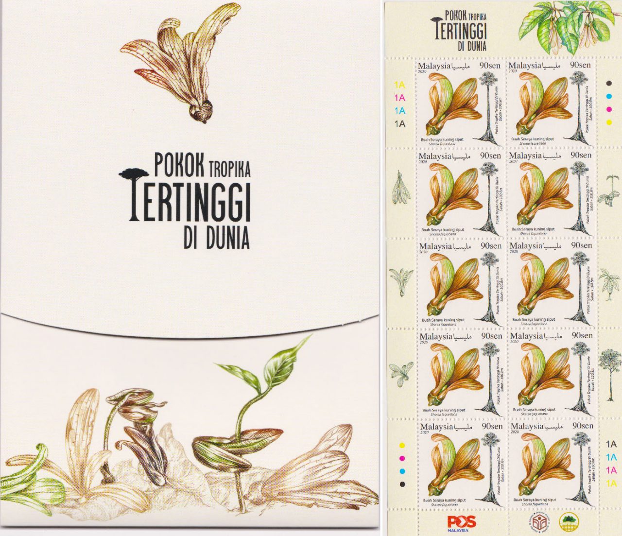 Left: the front cover of stamp folder of World's Tallest Tropical Tree (Pokok Tropika tertinggi di dunia). Right: Stamp sheet (10 pieces of 90-cent stamps). The picture in the stamp is the winged fruit of Shorea faguetiana