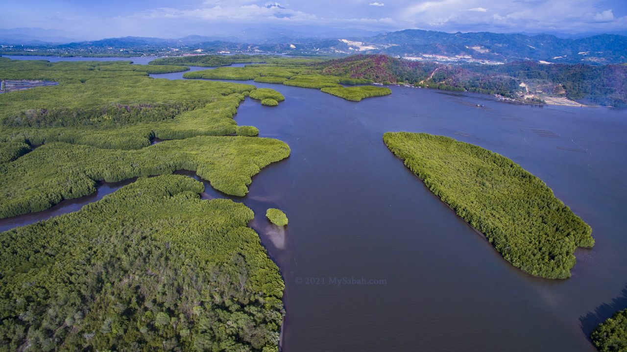 Brackish water and mangrove of Mengkabong River