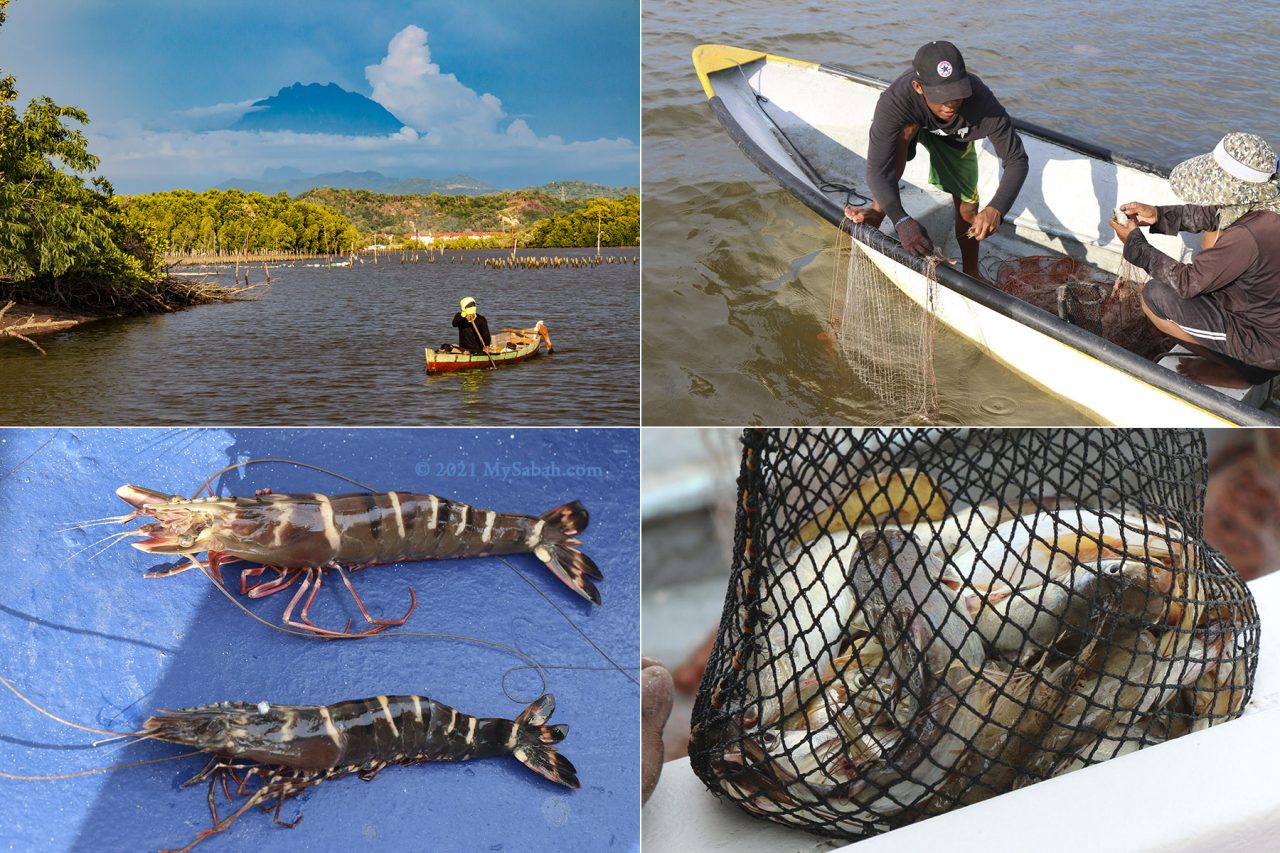 Fishermen and their caught in Mengkabong River