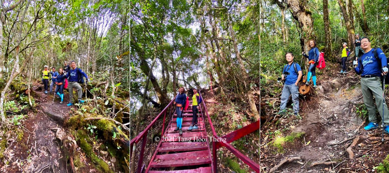 Taking group photo in Tropical Montane Forest of Maragang Hill