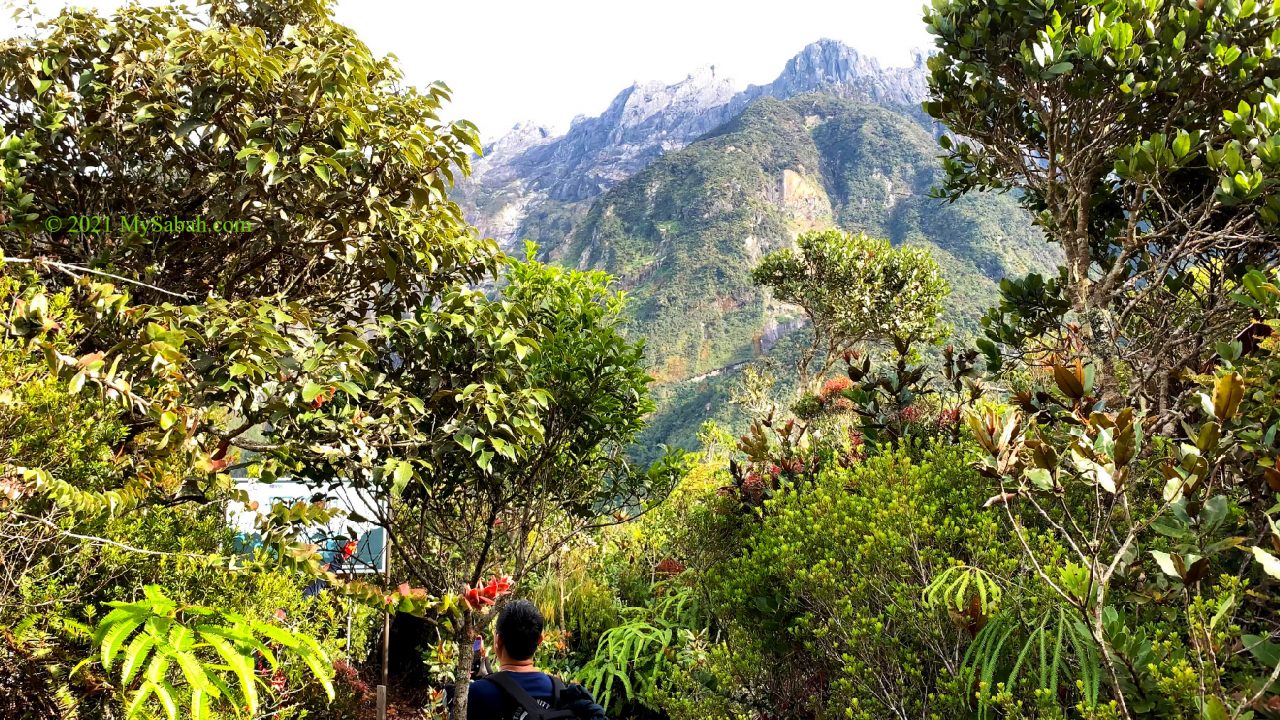 Reaching the peak of Maragang Hill