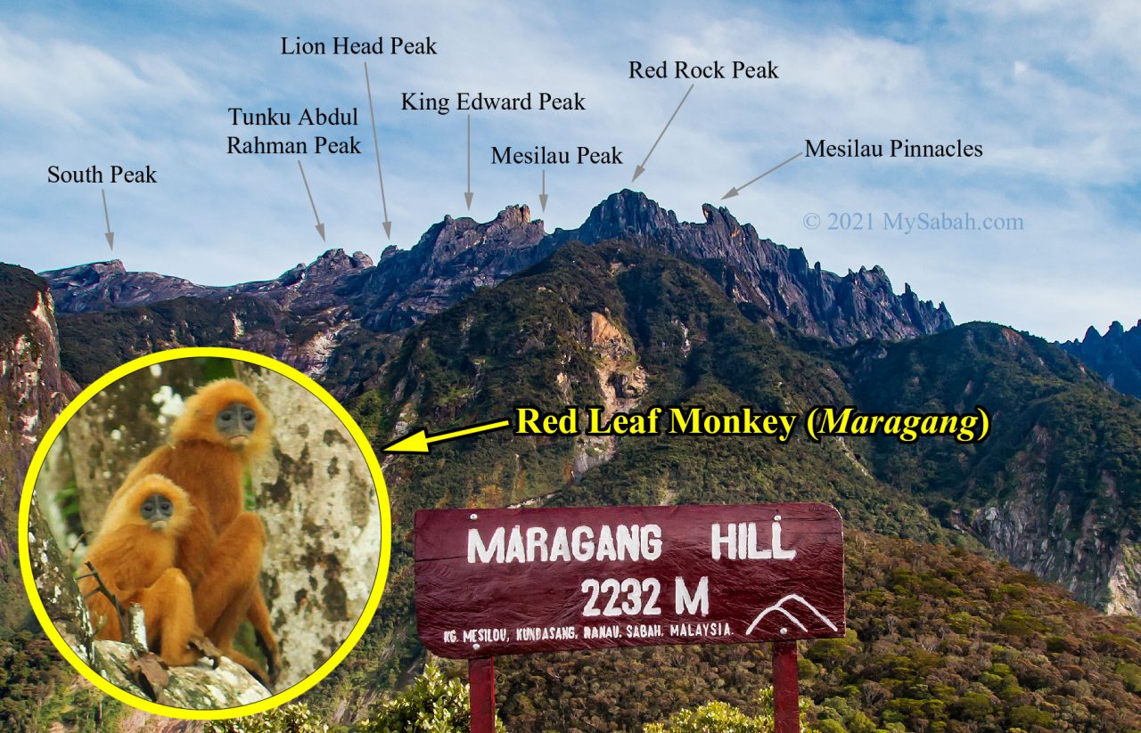 The peaks at the Eastern Plateau of Mount Kinabalu