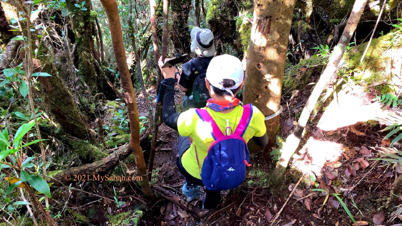 Steep descending route of the loop trail