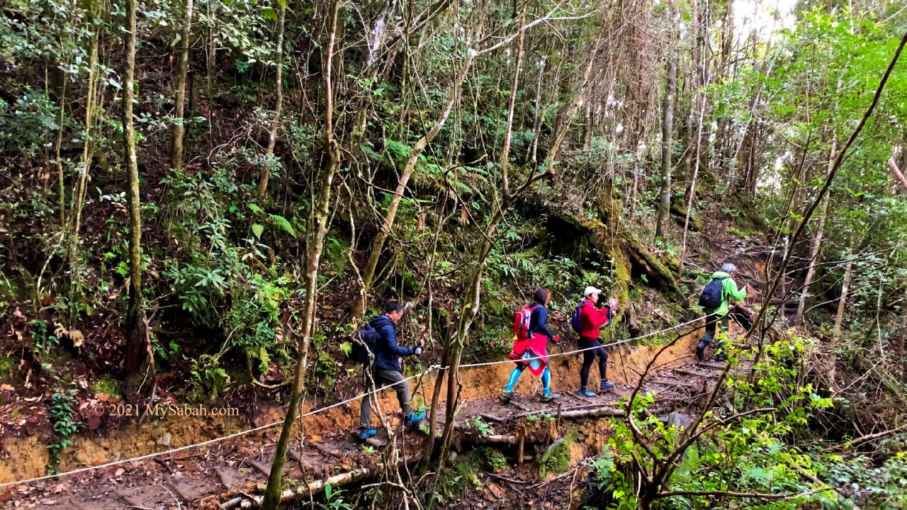 Flat trail on Maragang Hill