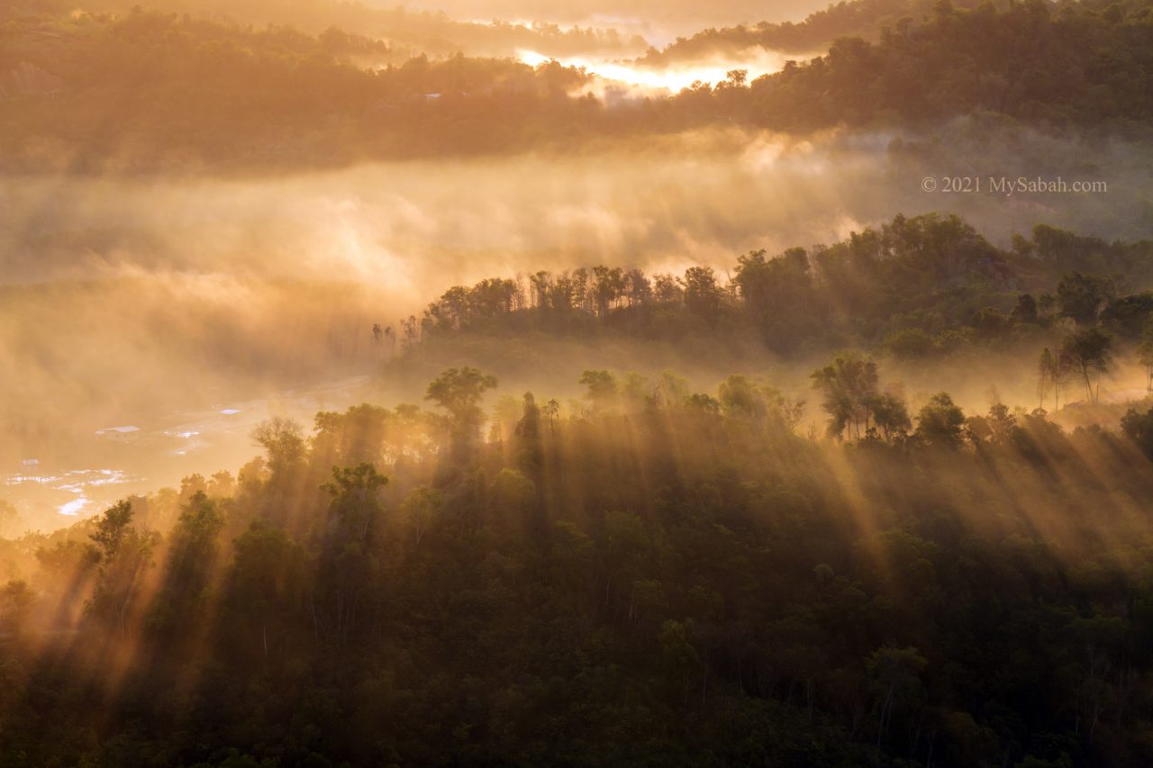 Misty forest of Tuaran in the morning