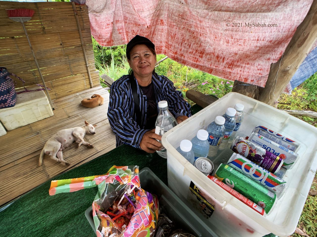 Friendly hawker and her sleeping dogs