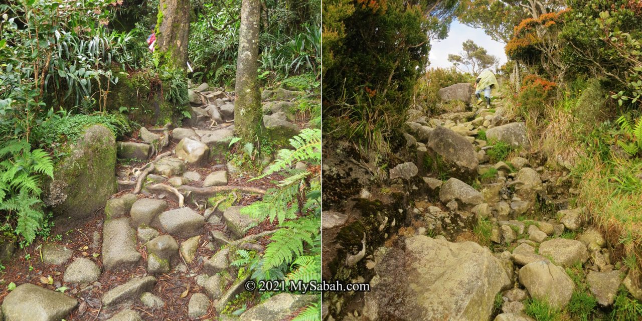 Grey boulders on the trail