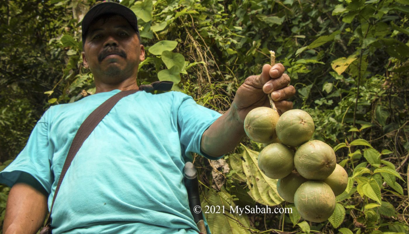 villager holding the liposu / limpasu fruits